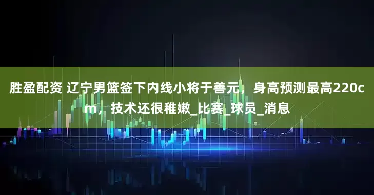 胜盈配资 辽宁男篮签下内线小将于善元，身高预测最高220cm，技术还很稚嫩_比赛_球员_消息