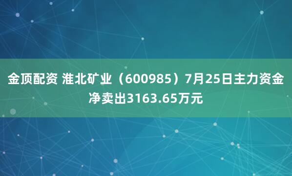 金顶配资 淮北矿业（600985）7月25日主力资金净卖出3163.65万元