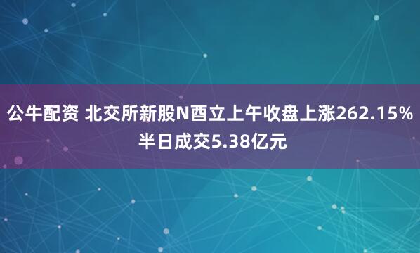公牛配资 北交所新股N酉立上午收盘上涨262.15% 半日成交5.38亿元