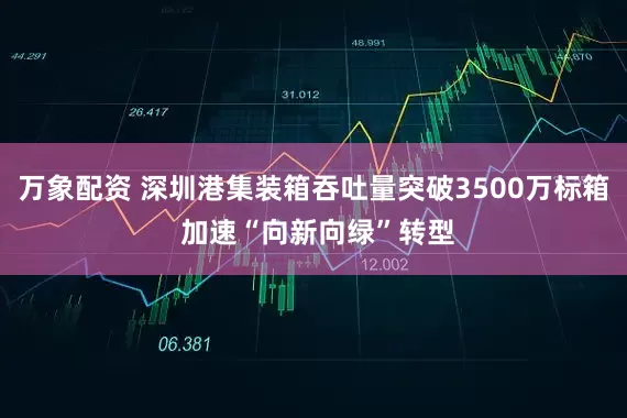 万象配资 深圳港集装箱吞吐量突破3500万标箱 加速“向新向绿”转型